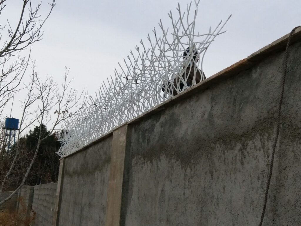 نرده دیواری شاخ گوزنی با رنگ سفید کوره‌ای در شمال ایران چه ویژگی‌هایی دارد؟